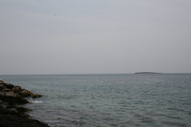 gal/cro 08/small-IMG_4626.JPG